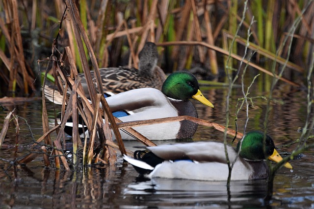 7 klassiske krydsordsfælder – og hvordan du undgår dem